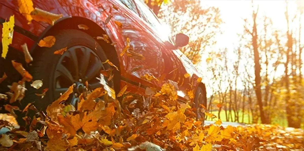 rs=w_1200,h_600,cg_true-3 rs=w_1200,h_600,cg_true-3